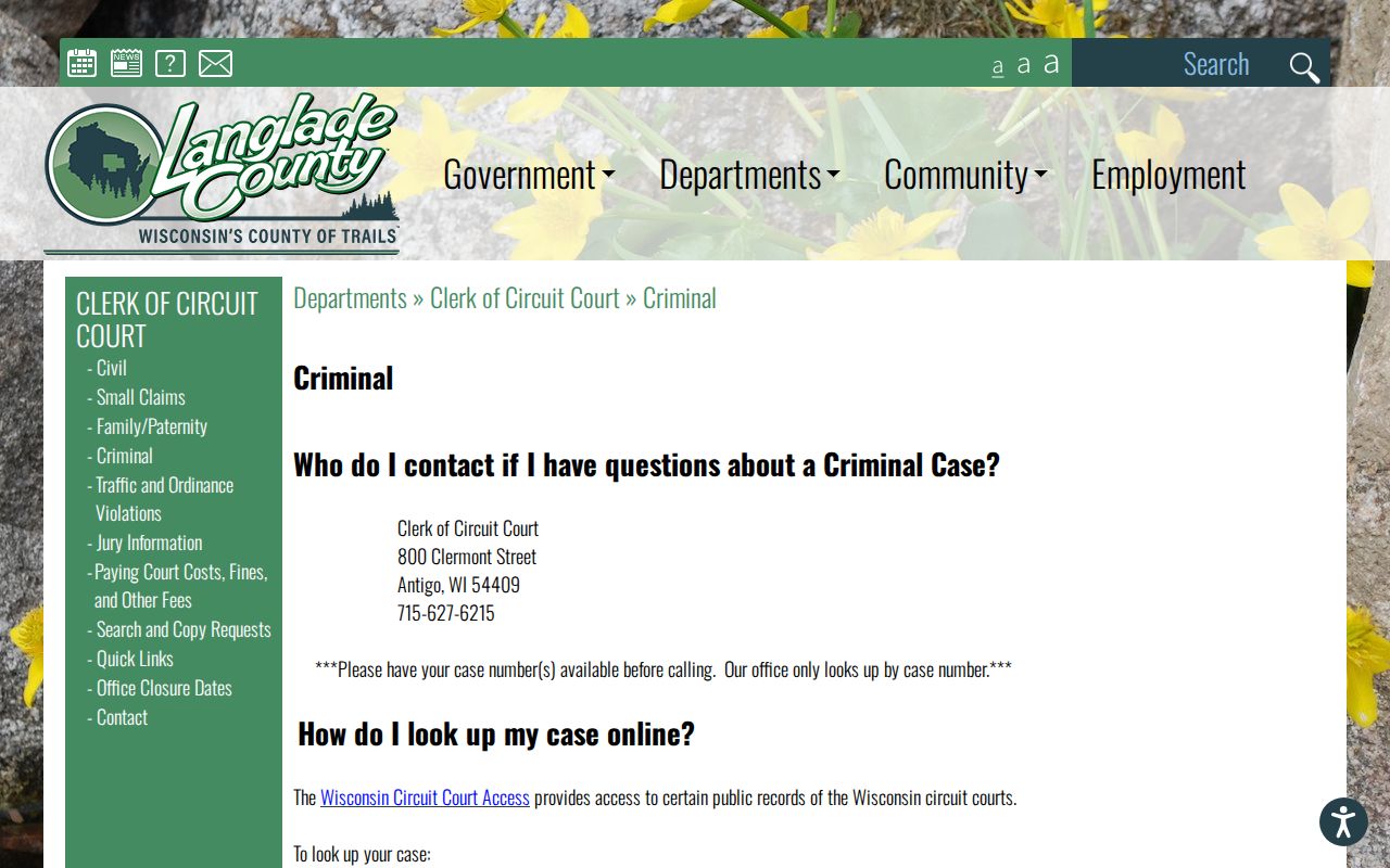 Langlade County criminal court case search guidance